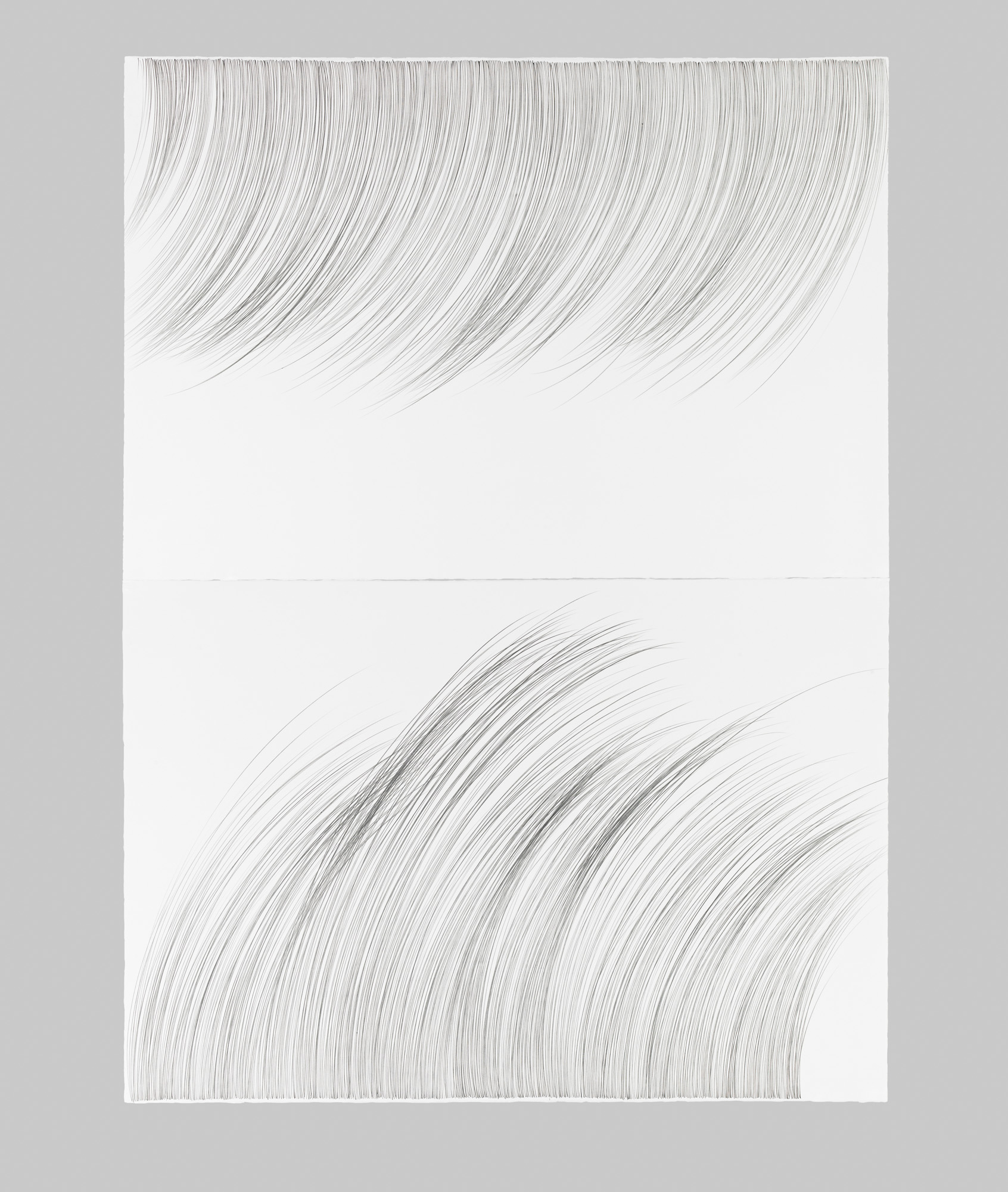 Large RainGrass, I   Graphite on cotton paper, 60 x 44 inches, diptych, 2015