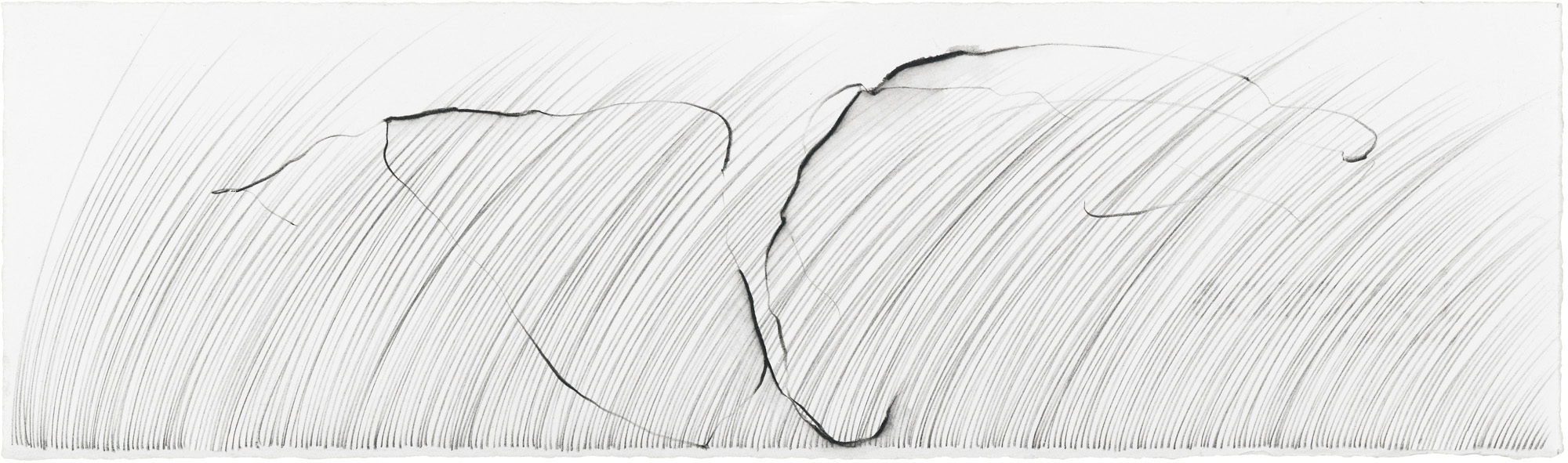 Grass Being, I   graphite and soluble pencil on cotton paper, 4 ¼ x 14 ½ inches, 2013