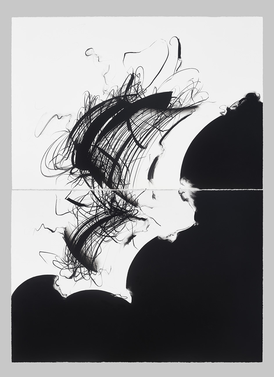 Prow (from the Lurgan Bog), Pastel pigment on cotton paper, 90 x 132 inches in nine panels, 2019