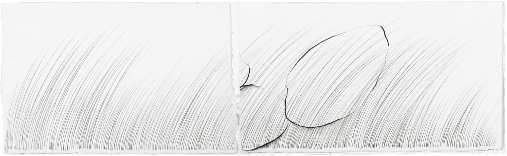Grass Being, II   graphite and soluble pencil on cotton paper, collage, 4 ½ x 14 ¼ inches, 2013