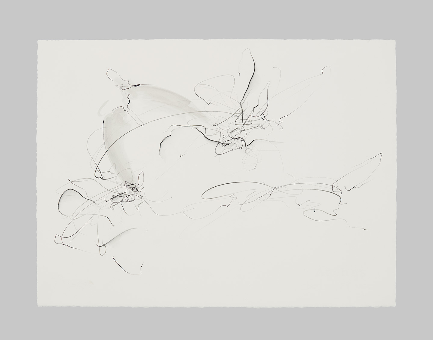 Prow Study, III,Graphite and soluble pencil on paper, 11 x 18 inches, 2021